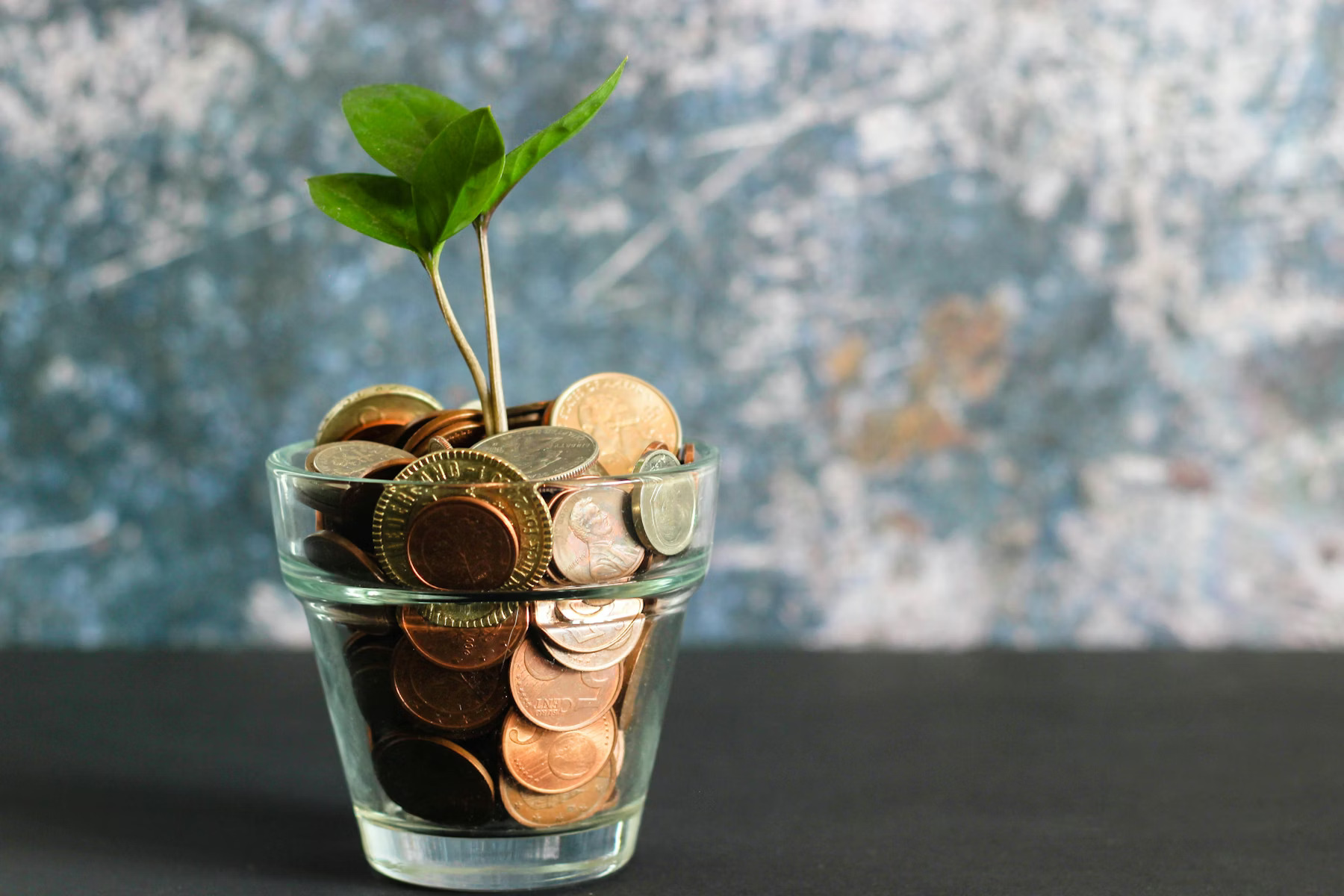How the AIF Investment Process Works